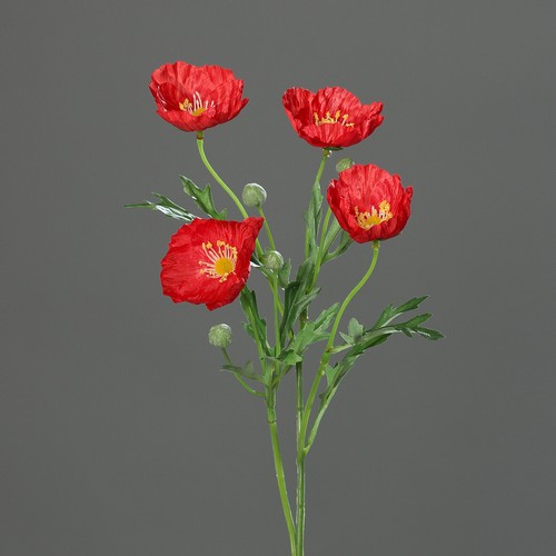 Mucplants künstlicher - mucplants,